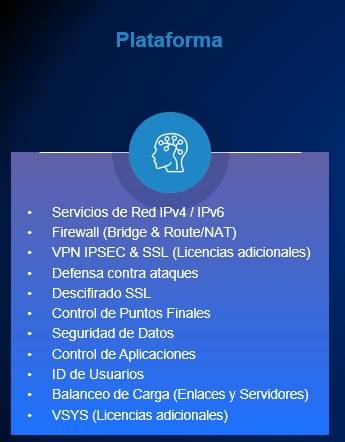 Servicepack Hillstone  Adicional SGSV-A200-IN12U (12 meses) -