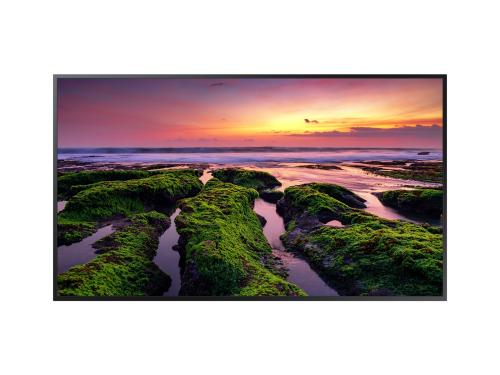 Monitor Profesional  SAMSUNG QB65B - 65 pulgadas, 3840 x 2160 Pixeles