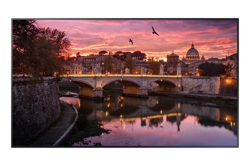 Pantalla Profesional SAMSUNG LH65QBREBGCXG - 65 pulgadas, 3840 x 2160 Pixeles, 6 ms