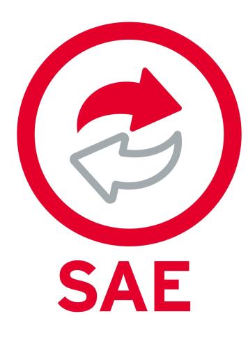 SOFTWARE SISTEMA BASE SAE ANUAL 1 USR. 99 EMP (SAE12M V) (ELECTRONICO) -