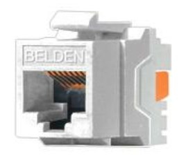 Imagen 1 del producto “Conector Jack RJ45 CAT6  BELDEN AX101320 - RJ-45, Blanco, Cat 6 ”