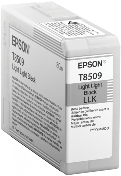 Imagen 1 del producto “Cartucho EPSON T850900 - Negro ”