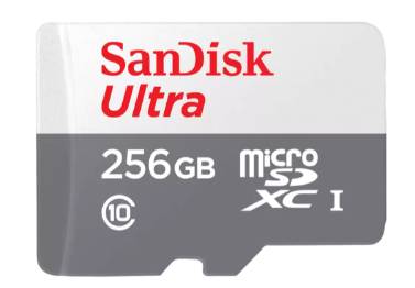 Imagen 1 del producto “MICROSD SDSQUNR-256GGN6TA 256GB - ”