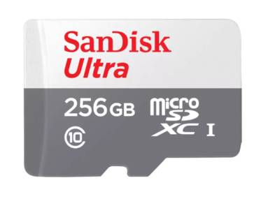 Imagen 1 del producto “MICRO SD  ULTRA SDSQUNR-256G-GN6TA 256GB - ”